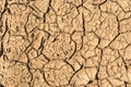 The surface texture dry cracked earth, close-up abstract background Royalty Free Stock Photo