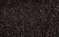 The texture of the surface of the grains of black rice