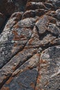 texture of surface of gray rocky mountain with cracks and orange moss close-up Royalty Free Stock Photo