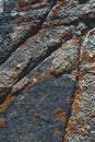 texture of surface of gray rocky mountain with cracks and orange moss close-up Royalty Free Stock Photo