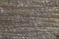 Texture of the surface of a mica schist