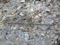 Texture of the surface of an old concrete wall Royalty Free Stock Photo