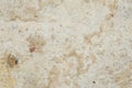 Texture of the surface of the old wall of the building, there are fractures, cracks, color divorces and salt deposits Royalty Free Stock Photo