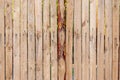 Texture of tall wooden fence made of waste board Royalty Free Stock Photo