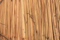 Texture of thatch roof Royalty Free Stock Photo