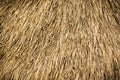 Texture of Thatched from Imperata cylindrica Thailand