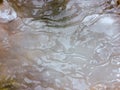 Texture of thick frozen sheet of ice forming on surface of flowing cold river water Royalty Free Stock Photo