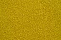 Texture of thick, strong mustard color fabric shot close-up