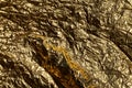 Texture of a thin crumpled sheet of foil. Crumpled foil background. Stock photo foil. Gold chrome color Royalty Free Stock Photo