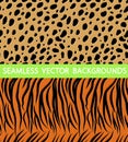 Texture tiger leopard Royalty Free Stock Photo