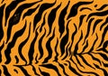 The texture of the tiger skin. hand-drawn horizontal background of black uneven stripes on an orange background for a design Royalty Free Stock Photo