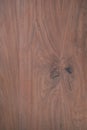 Texture of toned black walnut wood