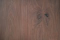 Texture of toned black walnut wood