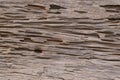 Texture of traces of termites eat wood
