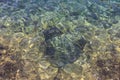 Texture of transparent and crystalline sea waves on the rocks in the background