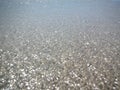 Texture of transparent shallow water surface Royalty Free Stock Photo