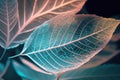 The texture of the transparent skeleton blue leaves . Illustration AI Generative