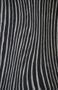 Texture wood. Veneer Zebrano. Black and white wavy background