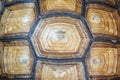 Texture of Turtle carapace Royalty Free Stock Photo