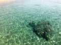 The texture of the underwater stone, the coral on the background of a transparent warm sea of clear, glowing green water