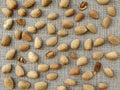 Texture of unshelled almond nuts