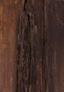 Texture of very old rural wood with natural patterns