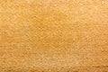 Texture of vintage beech board with fading. Natural wood background Royalty Free Stock Photo