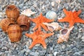 Stones the beach the sea