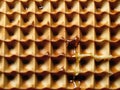 texture of a waffle. close up view Royalty Free Stock Photo
