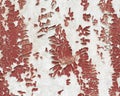 Texture of wall covered cracked paint Royalty Free Stock Photo