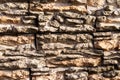 Texture of a wall covered with decorative brick-like tiles. Abstract background for design Royalty Free Stock Photo