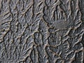 texture wall decorative stucco high