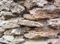 Texture of wall made of decorative stone and shellfish Royalty Free Stock Photo