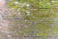 Texture of a wall made of old bricks Royalty Free Stock Photo