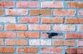 Texture - a wall of old red brick with different shades Royalty Free Stock Photo