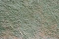 Texture of a wall with stipple paint mix of green and sand colors, rough stipple paint texture, organic tones