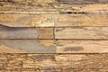 Texture wall wood termites