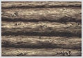 Texture of a wall of wooden logs in color Royalty Free Stock Photo