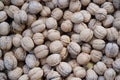 Texture of walnuts crop. Close up of nuts in shell. Royalty Free Stock Photo