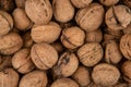 The texture of walnuts - close-up of walnuts in the shell Royalty Free Stock Photo