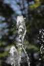 Texture of water drops of fountain Royalty Free Stock Photo