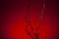 Texture of water on a red background Royalty Free Stock Photo