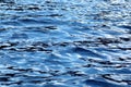 Texture water ripples Royalty Free Stock Photo