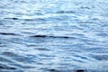 Texture water ripples Royalty Free Stock Photo