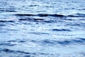 Texture water ripples Royalty Free Stock Photo