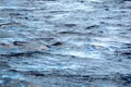 Texture water ripples Royalty Free Stock Photo