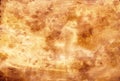 Texture watercolor splash gold background. For paper design, textile, background, artboard Royalty Free Stock Photo