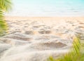 Texture Wave Pile of Sand with Blur Palm Leaves and Blue Sea Background Pattern Beach at Coast with People Footprints,Frame Card Royalty Free Stock Photo