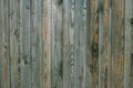 Texture of weathered gray green wooden boards. Vintage wood pattern, surface. Dirty shabby timber, oak, pine. Hardwood grey backgr Royalty Free Stock Photo