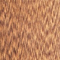 Texture of wenge tree, wood grain